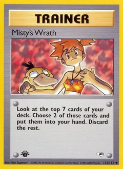 Misty's Wrath (1st Edition)