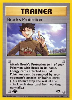 Brock's Protection (1st Edition)
