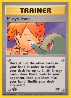 Misty's Tears (1st Edition)
