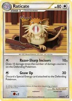 Raticate