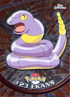 Ekans 23