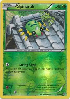 Spinarak Reverse Holo 5