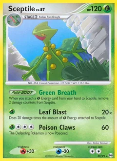 Sceptile 30