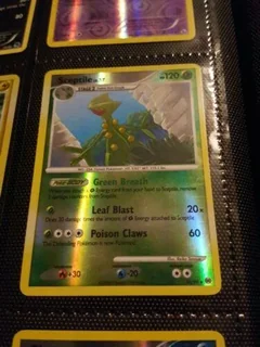 Sceptile Reverse Holo 30