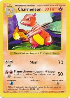 Charmeleon Shadowless 24