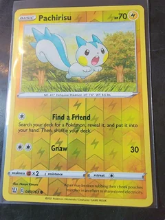 Pachirisu Reverse Holo 49