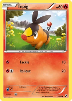 Tepig 15
