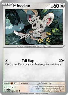 Minccino 75