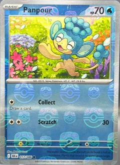 Panpour Master Ball 17