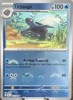 Tirtouga Poke Ball 22