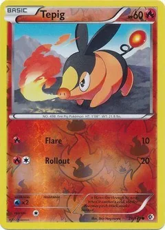 Tepig Reverse Holo 24