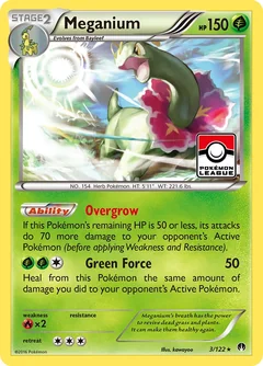 Meganium 3