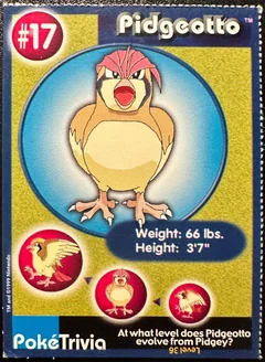 Pidgeotto 17