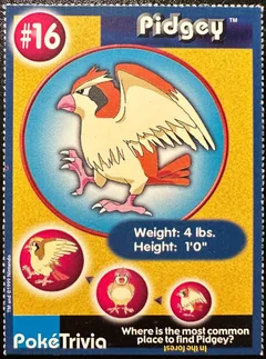 Pidgey 16