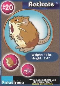 Raticate 20