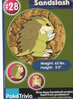 Sandslash 28