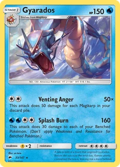 Gyarados 33