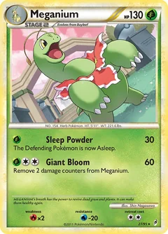 Meganium 27