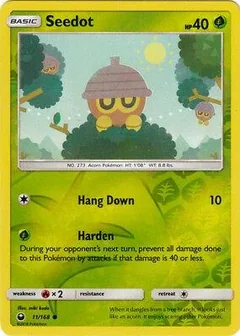 Seedot Reverse Holo 11