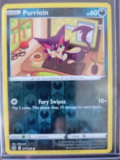 Purrloin Reverse Holo 77
