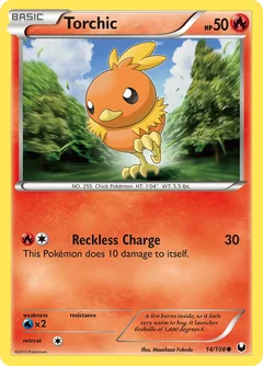 Torchic 14