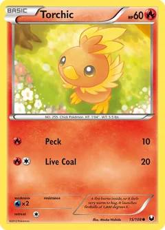 Torchic 15