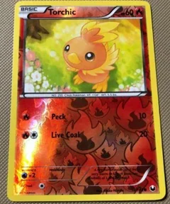 Torchic Reverse Holo 15