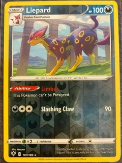 Liepard Reverse Holo 107