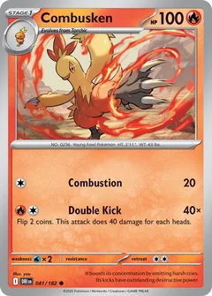 Combusken 41