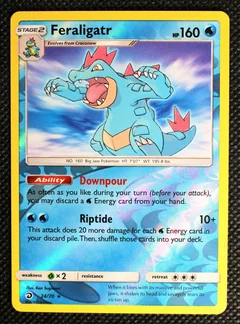 Feraligatr Reverse Holo 24