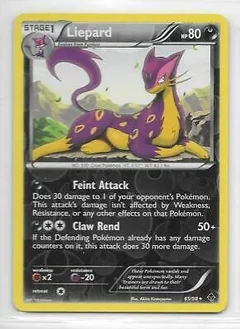 Liepard Reverse Holo 65