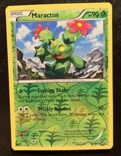 Maractus Reverse Holo 10