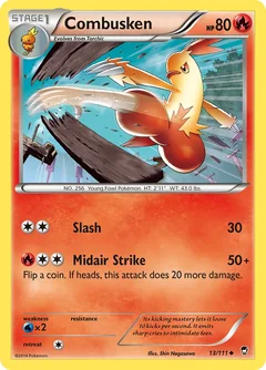 Combusken 13