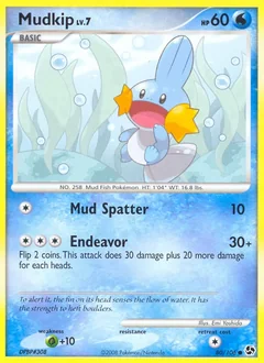 Mudkip 80