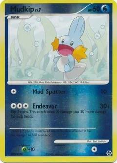 Mudkip Reverse Holo 80