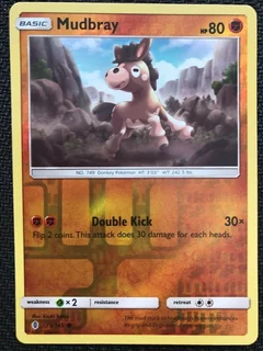 Mudbray Reverse Holo 75