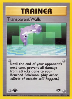 Transparent Walls 125