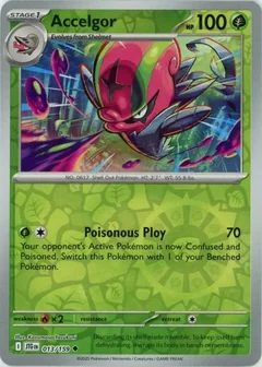 Accelgor Reverse Holo 13