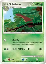Grovyle 6