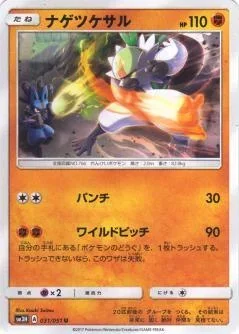Passimian 31