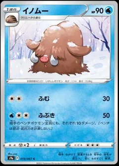Piloswine 19
