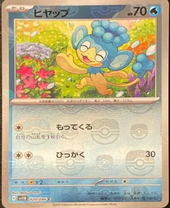 Panpour Master Ball 20