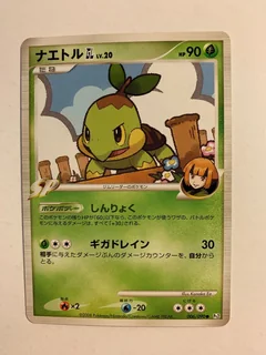 Turtwig 6