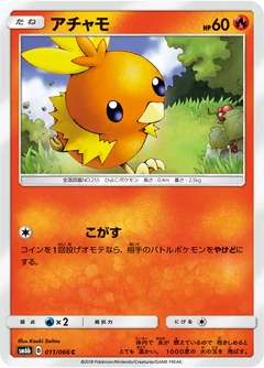 Torchic 11