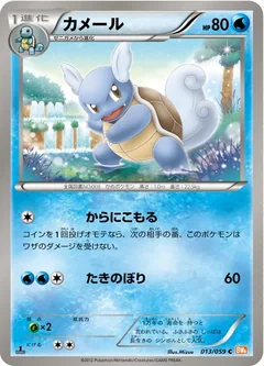 Wartortle 13