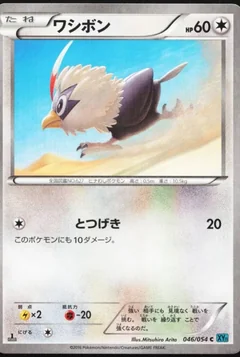 Rufflet 1St Edition 46
