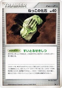 Root Fossil 1St Edition