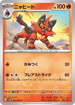 Torracat 21