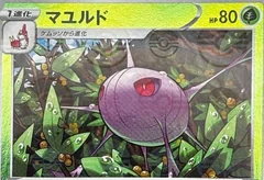 Cascoon Reverse Holo 7