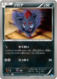 Zorua 48